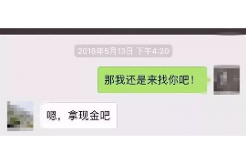 临清为什么选择专业追讨公司来处理您的债务纠纷？